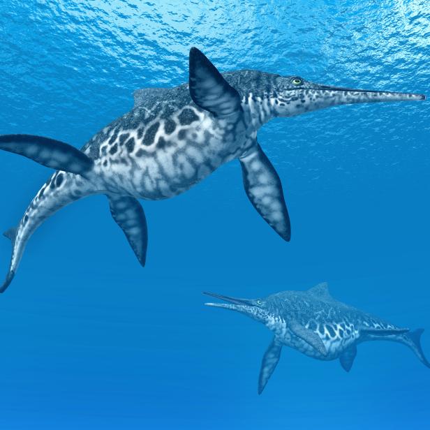 Computer generated 3D illustration with the prehistoric Ichthyosaur Shonisaurus