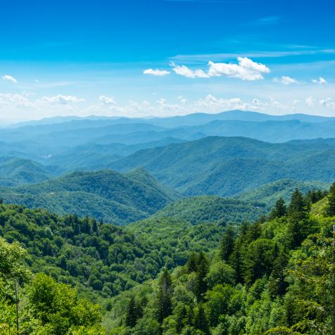 A view over the tops of trees to the Smoky Mountain range in Tennessee, USA.