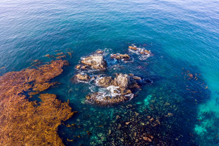 An aerial drone image of famous Seal Rocks in Laguna Beach is a favorite scuba diving site and home to many sea lions.
