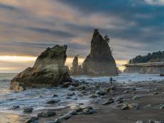 Wild beaches, snow-capped mountains, dense woods, and lush rainforests can be found across America. But did you know that they can all be found within Washington’s Olympic National Park?
