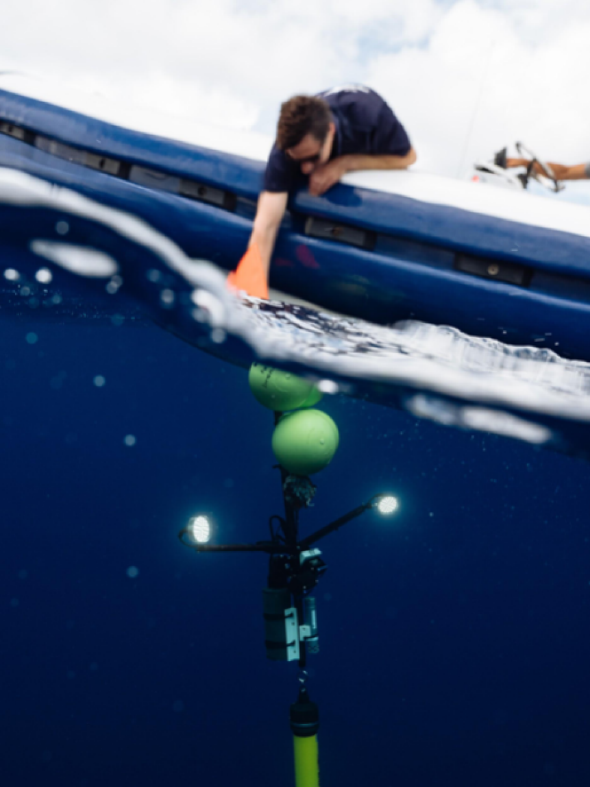   Deep-Sea Drop Camera