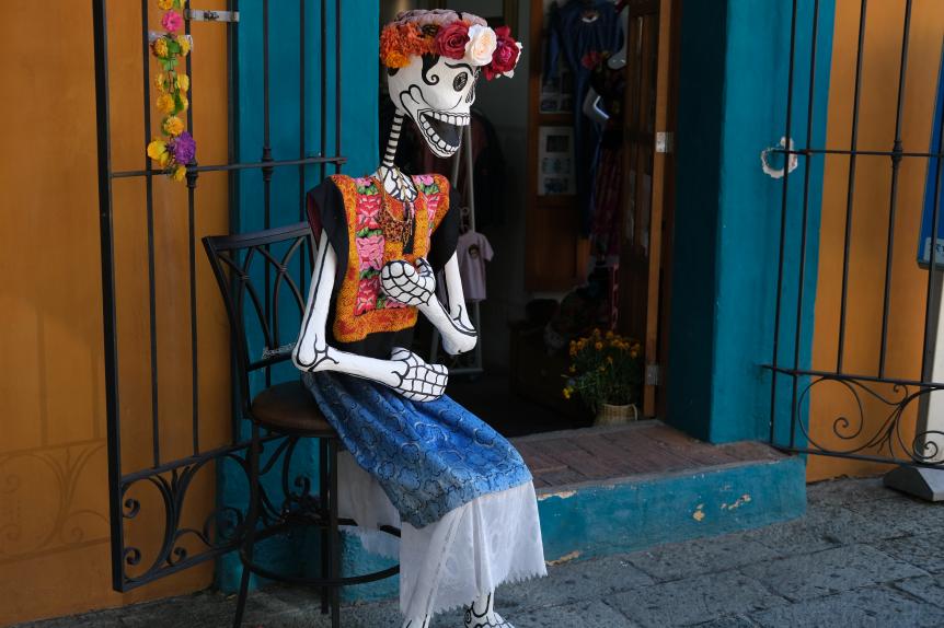 Another take on the Catrina and possibly a reference to Frida Khalo. 