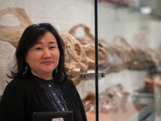 Meet Bolortsetseg (Bolor) Minjin, a Mongolian paleontologist and Explorers Club Fellow who played a pivotal role in stopping the sale of a fossil skeleton of the dinosaur Tyrannosaurus bataar, illegally collected from Mongolia. Bolor has also helped coordinate the return of over 30 other stolen dinosaurs to Mongolia.