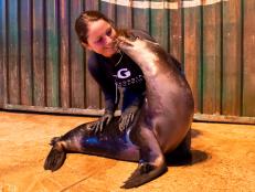 Scarlett wants to know - now that you’ve discovered all the ways Georgia Aquarium is showing kindness - how will you celebrate #WorldKindnessDay? 
