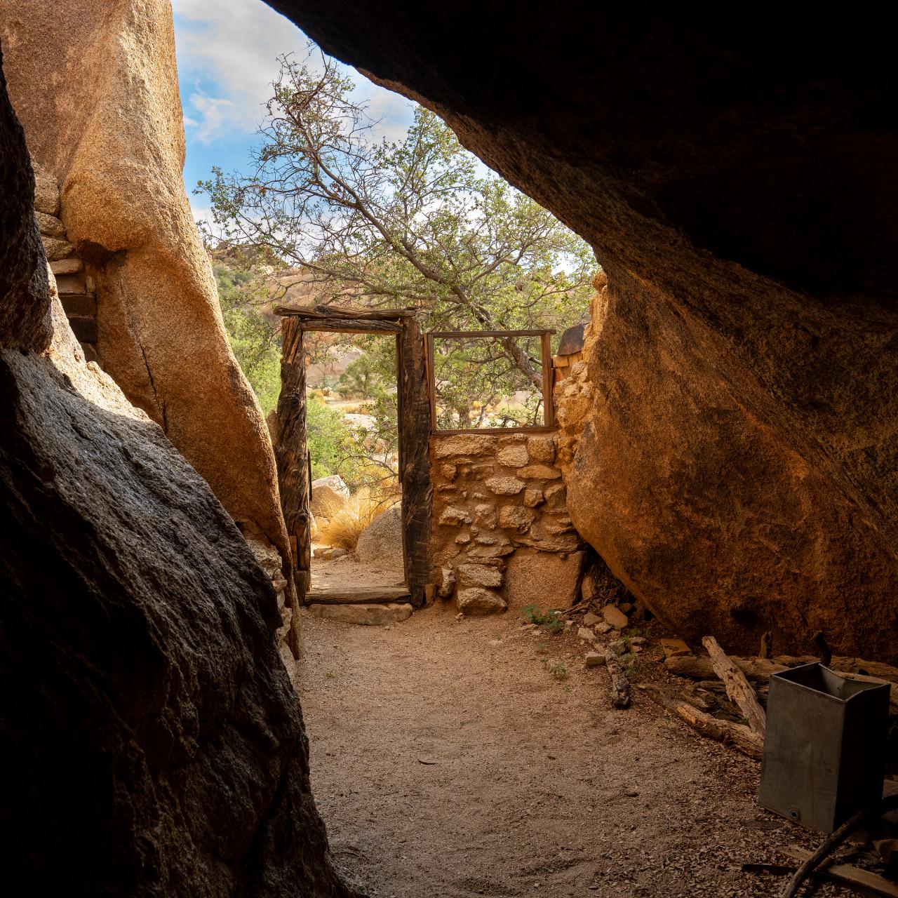 NATURE IN FOCUS Discovery the Secrets of Joshua Tree Nature and