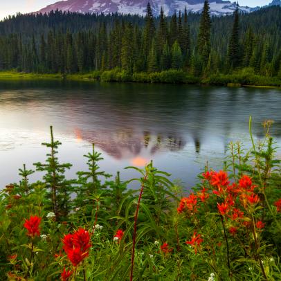 Mount Rainier National Park, Washington: Sunset at Reflection Lakes with Mount Rainier in the background. 

NOT AVAILABLE FOR GREETING CARD USE.