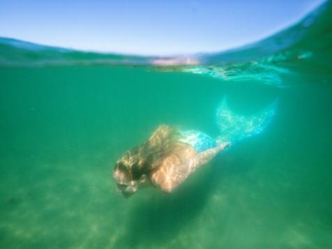Sharks and Mermaids, oh my!
