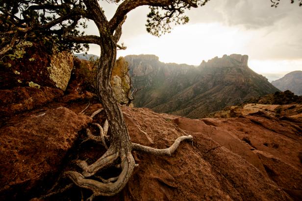 Visit The Beautiful Big Bend National Park In Texas Nature And Wildlife Discovery