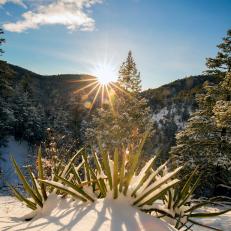 Deep snow blankets the desert forests of along the Chumasa Trail in Hyde Memorial State Park, Santa Fe, New Mexico.