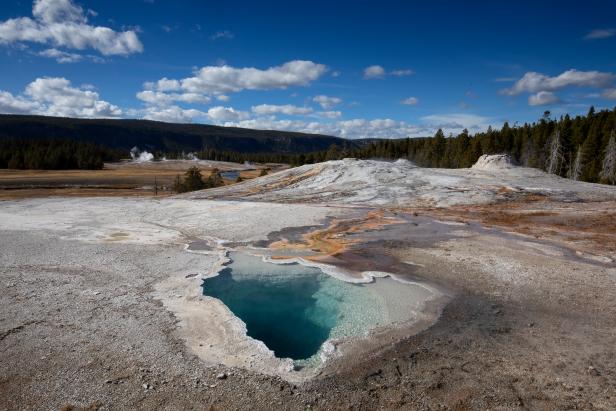 The Best of Yellowstone Nature and Wildlife Discovery