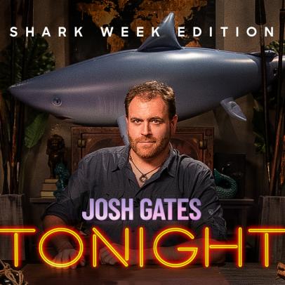 the latest shark week news on discovery  discovery