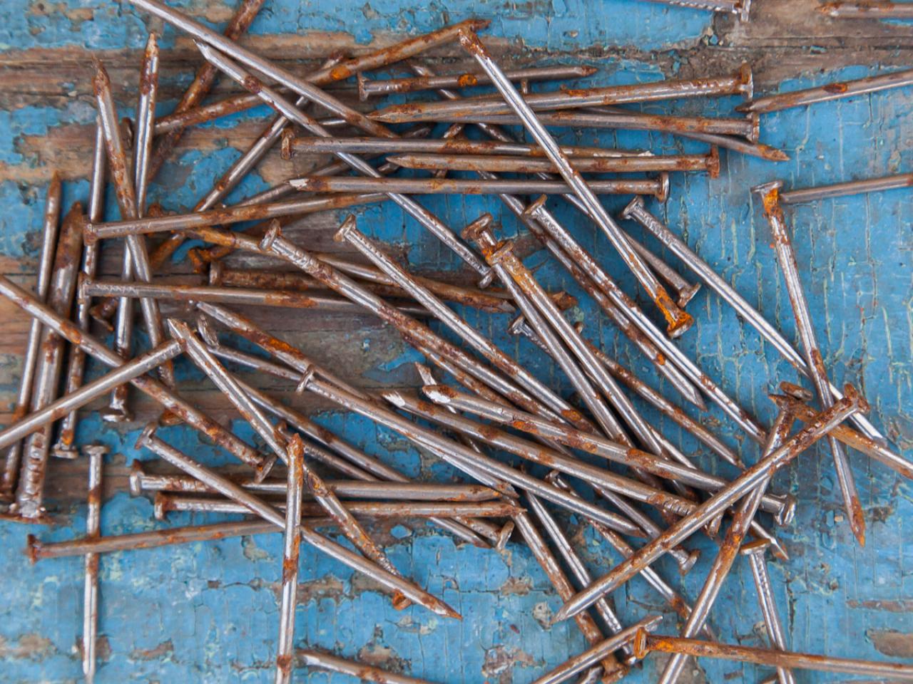 Can Dogs Get Tetanus From Stepping on a Rusty Nail? - Dog Discoveries
