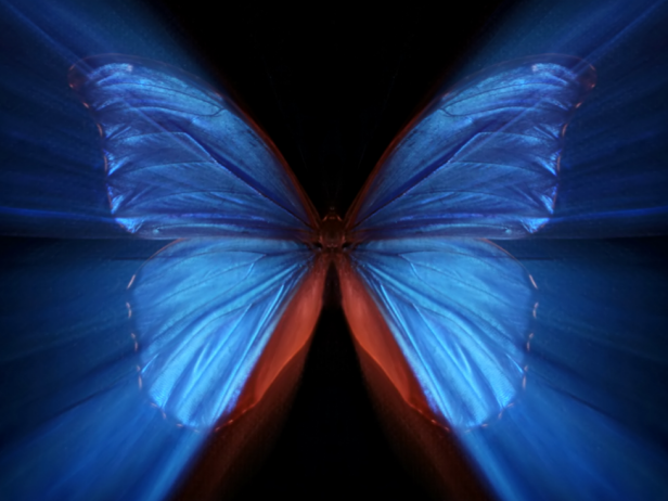 The Butterfly Effect Is Why It's Impossible to Predict the Weather ...