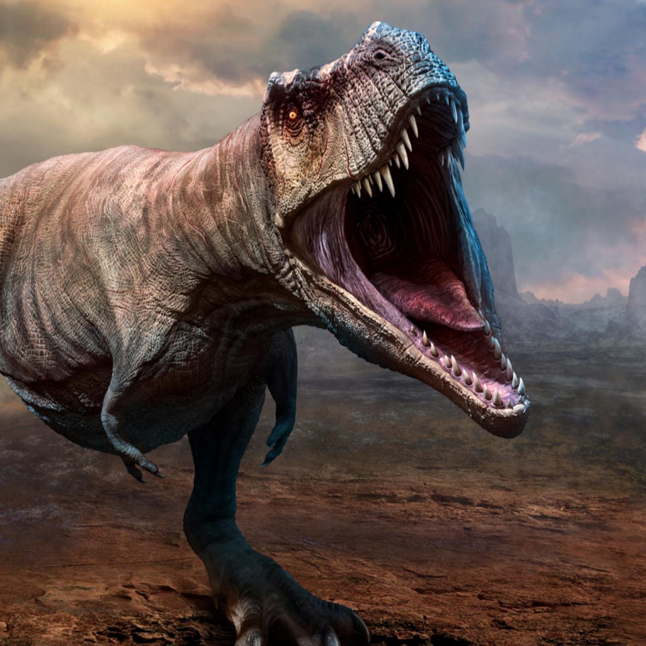 T-REX RESCUE MISSION!, New News