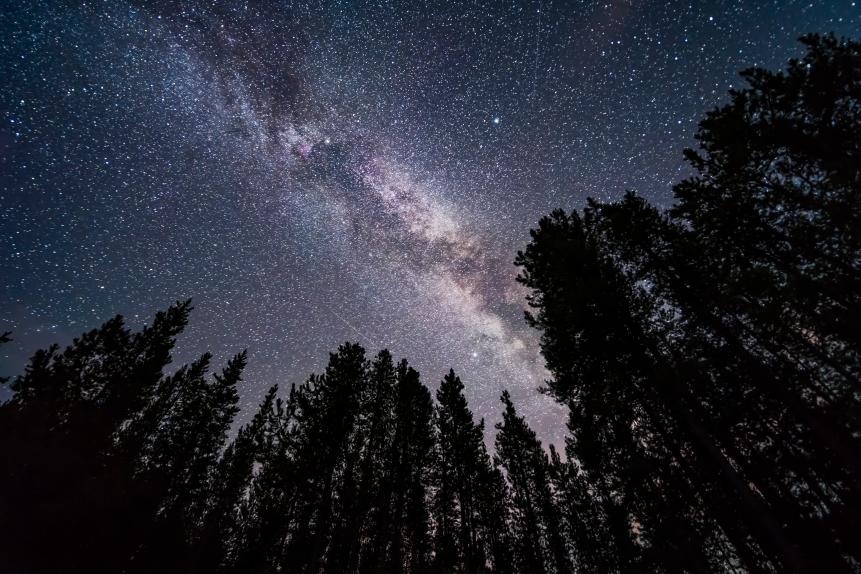 The summer Milky Way overhead and through the Summer Triangle stars in July, looking up through trees in Banff National Park at Herbert Lake Deneb is at top left, Vega at top right, and Altair is at bottom The bright Cygnus star cloud is obvious As are the dark lanes in the Milky Way, including the Funnel Nebula at top, aka Le Gentil 3   This is a stack of seven exposures for the trees, mean combined to smooth noise, and one exposure for the sky, all 20 seconds at f/2 with the Laowa 15mm lens and Sony a7III at ISO 6400. (Photo by: VW Pics/Universal Images Group via Getty Images)