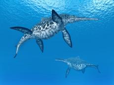 Computer generated 3D illustration with the prehistoric Ichthyosaur Shonisaurus