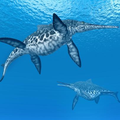 This Giant Ichthyosaur Might Have Been Bigger Than a Blue Whale | Nature  and Wildlife | Discovery