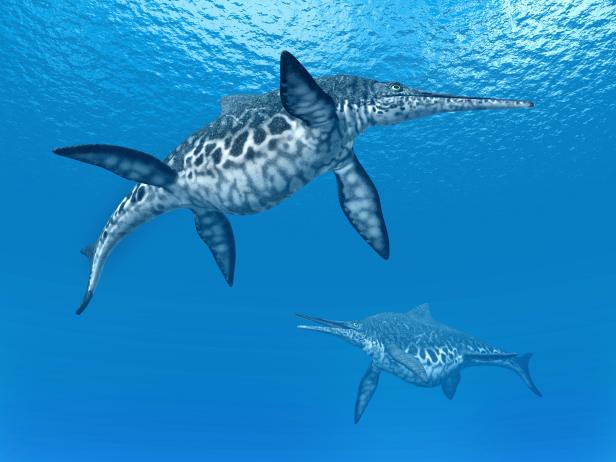 This Giant Ichthyosaur Might Have Been Bigger Than a Blue Whale | Nature  and Wildlife | Discovery