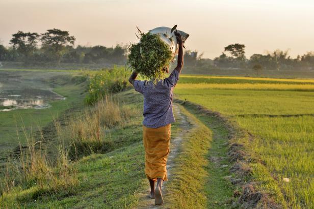 Why Bangladesh Has Six Seasons Instead Of Four | Latest Science News ...