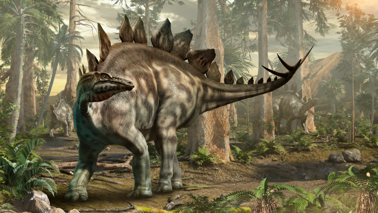 The Stegosaurus Was An Ancient Relic To The T. Rex, Nature and Wildlife