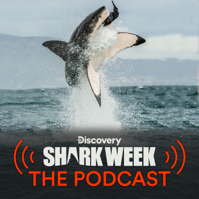 Shark Week: The Podcast is Splashing into the Scene