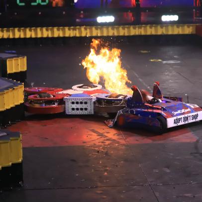 Top Bots Face Off in Epic BattleBots Champions Competition