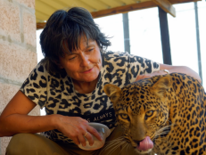 Babette founded her own sanctuary in South Africa where she cares for big cats, including cheetahs, leopards, and servals. Most of the cats she has rescued were born in captivity to be hunted or bred. She says she wanted to make sanctuaries a better place for animals to live. 