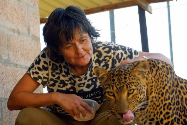 Meet Owners And Exotic Animals Of Beast Buddies Dnews Discovery