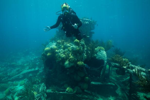 Brazil bans underwater exploring over fears discovery of shipwreck