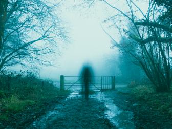 A blurred, ghostly, transparent figure, on a muddy, woodland path. On a foggy, spooky, winters day.