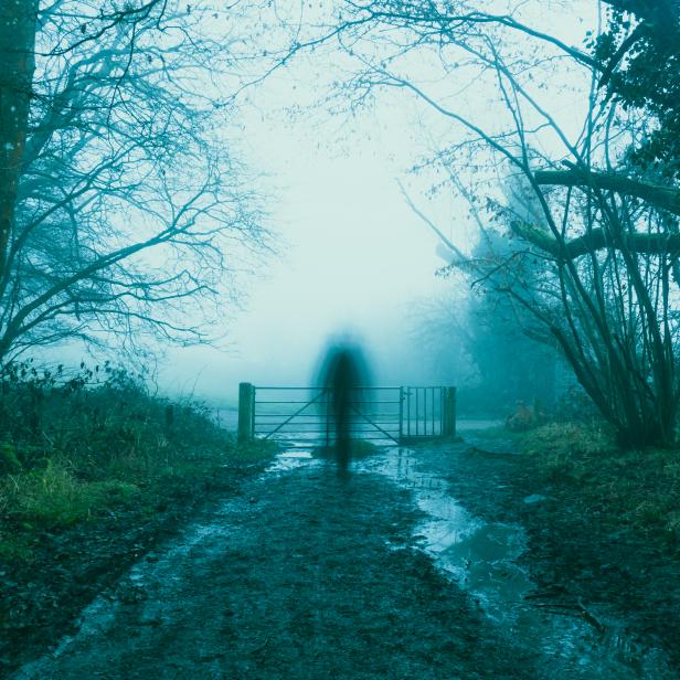 A blurred, ghostly, transparent figure, on a muddy, woodland path. On a foggy, spooky, winters day.