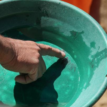 There's Massive Payday Potential in Gold Rush: Dave Turin's Lost