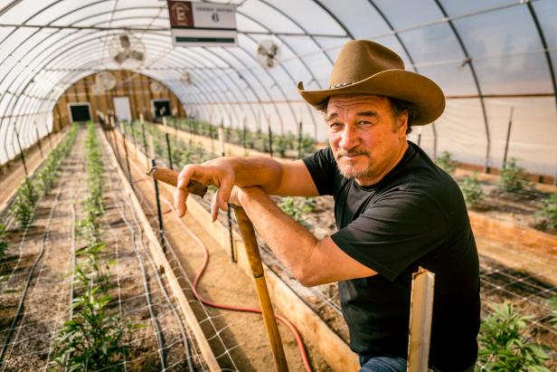 Jim Belushi Shows Off Legal Cannabis Farm in New Discovery Channel Show, DNews