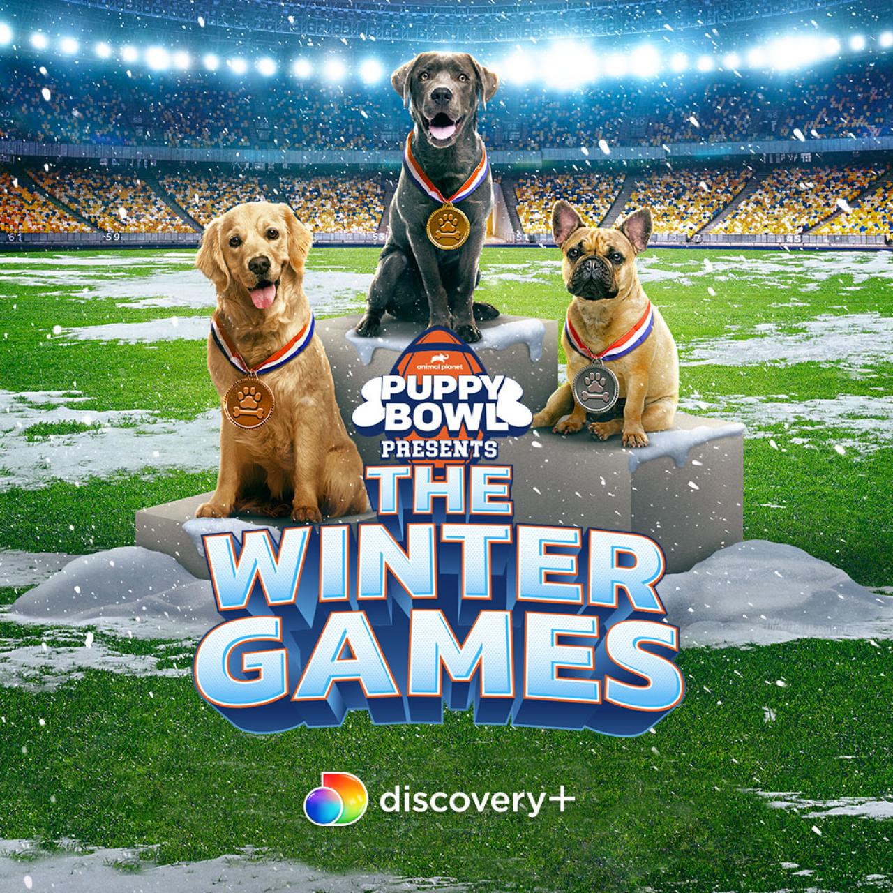 Puppy Bowl Presents: Winter Games Is All New On Discovery+ February 3, DNews