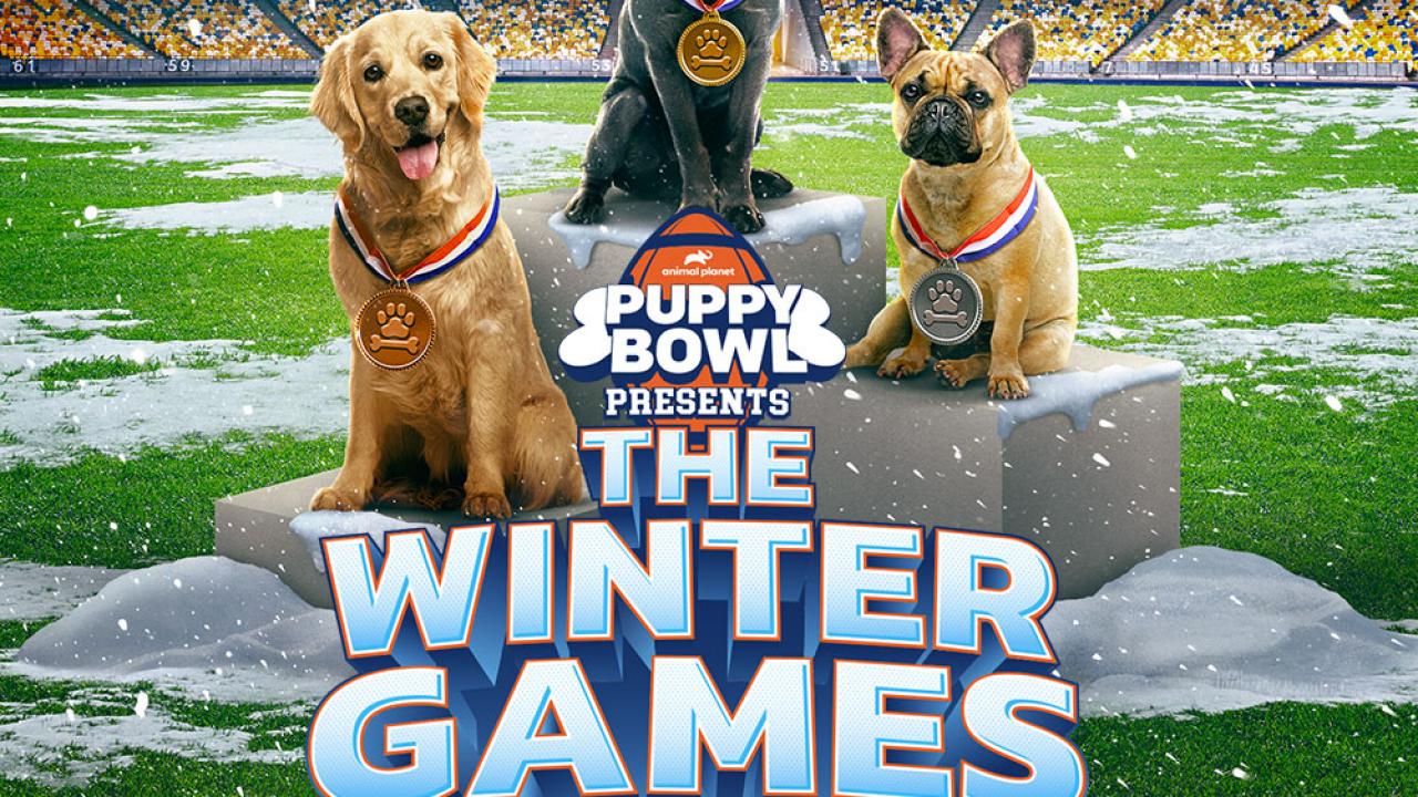 https://discovery.sndimg.com/content/dam/images/discovery/editorial/shows/p/puppy-bowl-presents--winter-games/annoucement/apl_PuppyBowlWinterGames_1000x1000_EVGRN%20(1).jpg.rend.hgtvcom.1280.720.suffix/1643741039441.jpeg