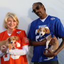 Puppy Bowl XVIII: How to watch, free live streams, TV channel, time  (2/13/22) 