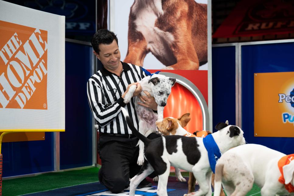 Puppy Bowl XVII Puppy Bowl 2024 Discovery