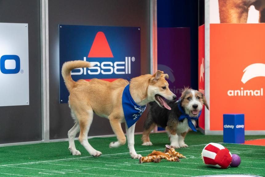 Emily (left) and Dinozzo (right) standing on the field.