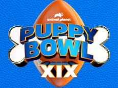 Puppy Bowl XIX premieres Sunday, February 12 at 2P ET/11A PT with more adoptable puppies from shelters and rescues across the nation.