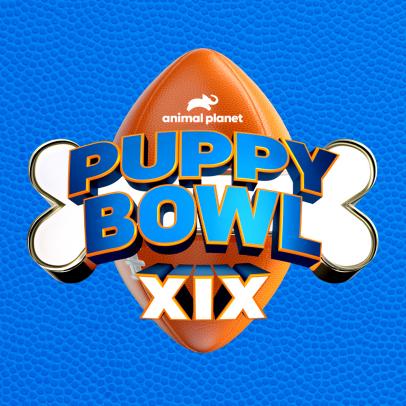 Get Ready for Puppy Bowl XIX