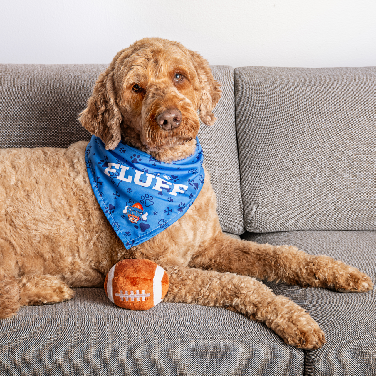 Shop Puppy Bowl 2024 Apparel | Watch Highlights From Puppy Bowl | Discovery