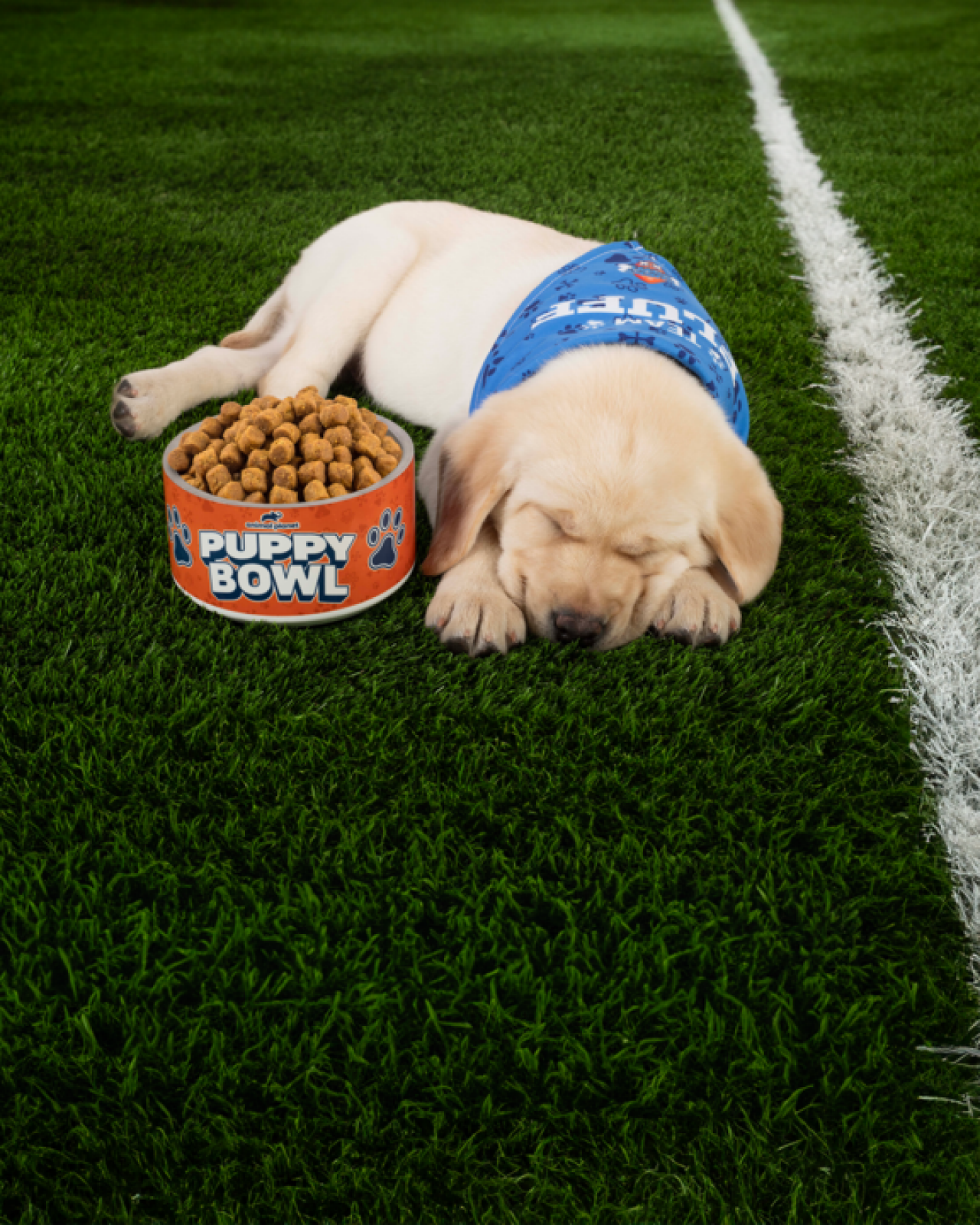 puppy bowl shirt