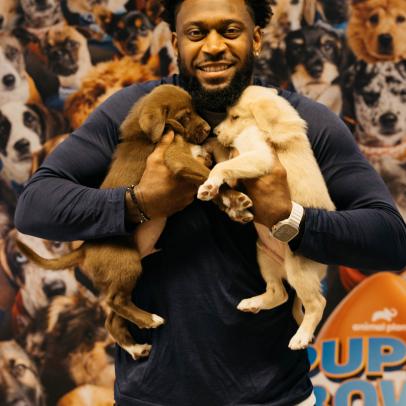 Baltimore Ravens Hang With Rescue Puppies for Puppy Bowl XX!