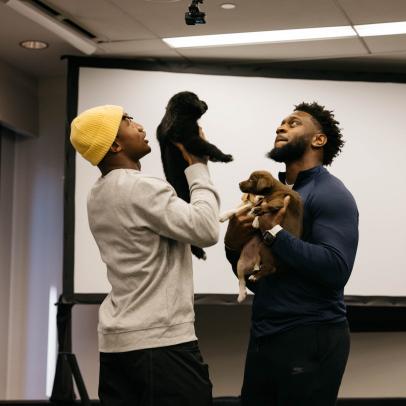 Baltimore Ravens Hang With Rescue Puppies for Puppy Bowl XX!