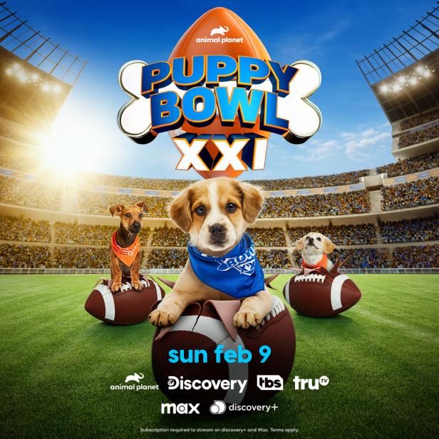 Puppy Bowl Vote For Your Favorite Player! Discovery