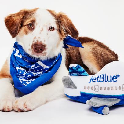 Puppy Bowl XXII Partners