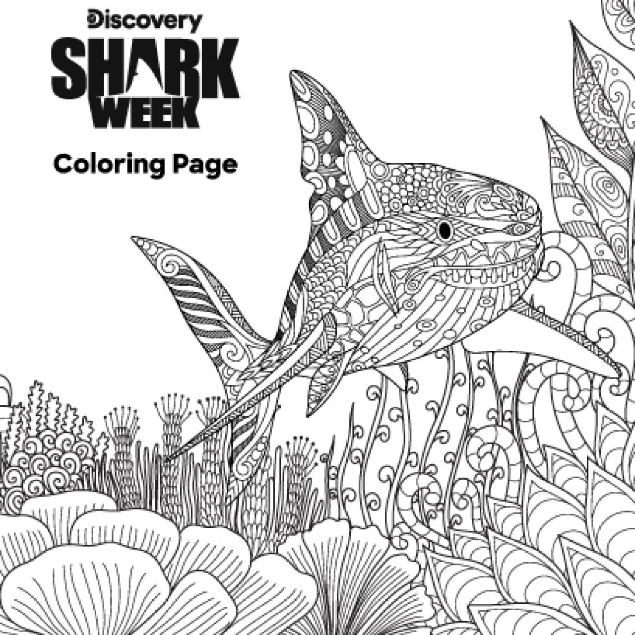 Shark Week Coloring Page The Latest Shark Week 2024 News on Discovery