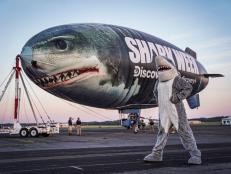 It's a plane, it's a bird, it's a... Shark? Starting June 24, keep your eyes on the sky for... a flying shark! The first-ever SHARK WEEK Blimp will be flying along the East coast to get fans excited for the best thing about summer.Track the SHARK WEEK Blimp's whereabouts here and share photos of your sightings on social using #SharkWeek.And get ready, Shark Week starts on July 11 on Discovery and discovery+.
