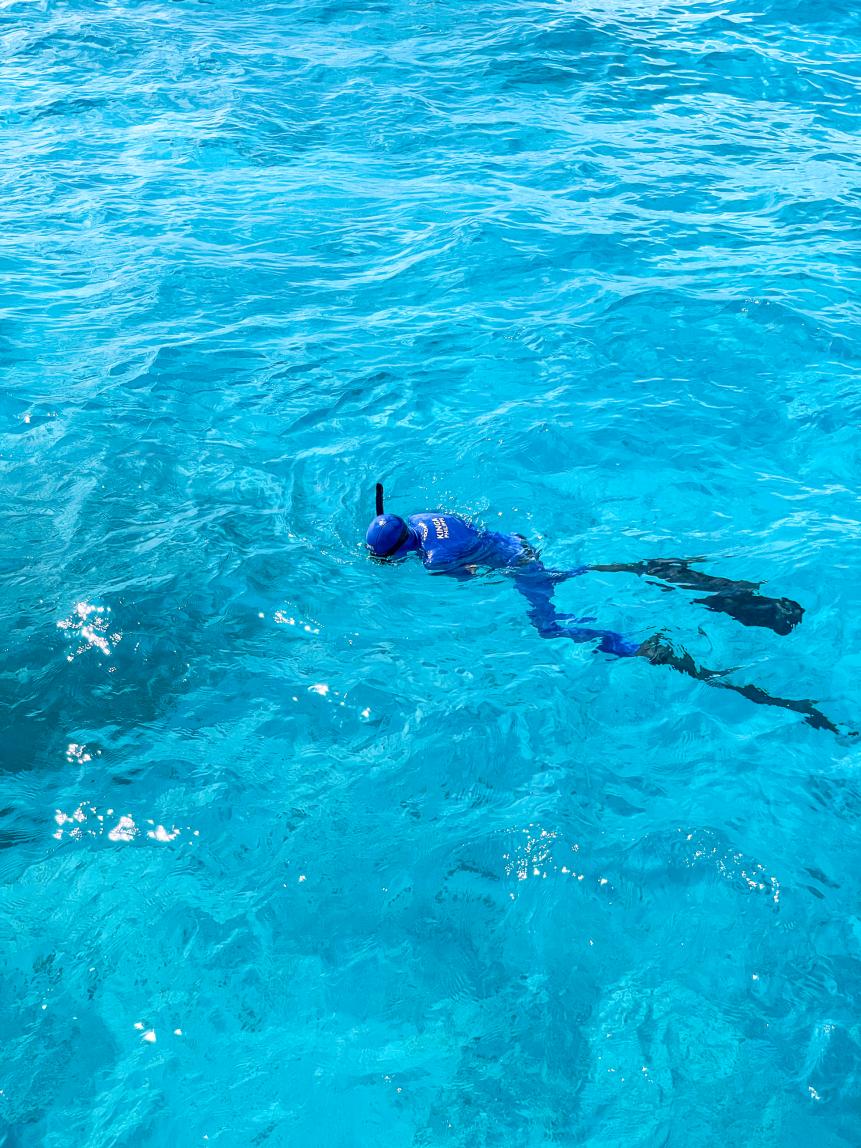 Kinga Philipps dives in the waters of Turks and Caicos looking for male tiger sharks.