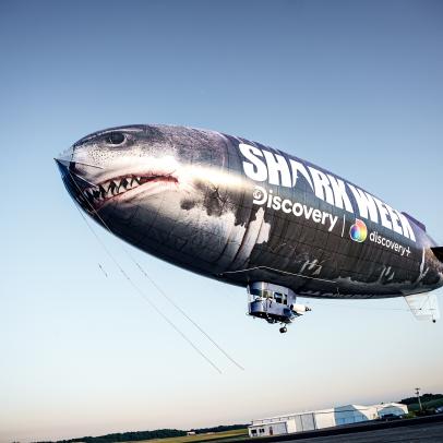See the Shark Week Blimps Soaring over America this July